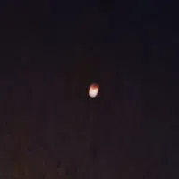 فروش-باغ-در-درجزین-سند-تک-برگ