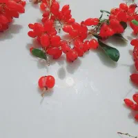 رب زارچ محلی (زرشک محلی) سربنان زرند