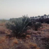 فروش آب و زمین  کشاورزی