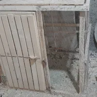 گنجه کفتر