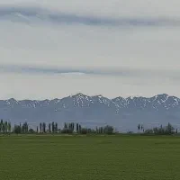 زمین کشاورزی