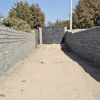 باغچه زمین باغ سنددار *برق /آب|فروش زمین و ملک کلنگی|رباطکریم, پیغمبر|دیوار