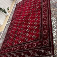 فرش دستباف ترکمنی|فرش|آق قلا, |دیوار