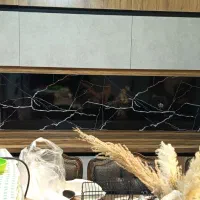 دکوراسیون داخلی|خدمات پیشه و مهارت|سمنان, |دیوار