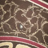 قالی|فرش|آبادان, |دیوار