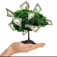 سرمایه گذاری