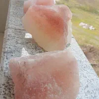 محیط زندگی و بدنتو با اینا پاکسازی کن|عمده‌فروشی|رشت, کاکتوس|دیوار