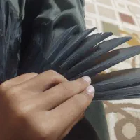 کفتر|پرنده|مشهد, تلگرد|دیوار