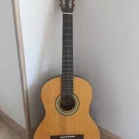 گیتار بست فان مدل JCYG-150