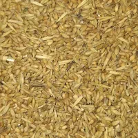 2 عدد گونی گندم