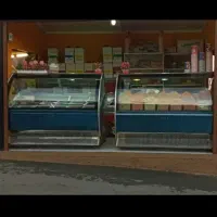 دوعدد یخچال تاپینگ ترشی مرغ گوشت سالم