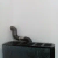 اجاره  خانه روستای حسینی