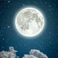وام مهربانی شعبه تهران