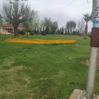 مغازه