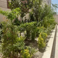 137متر محمدیه|فروش آپارتمان|مشهد, الهیه|دیوار