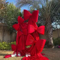 فروش و اجاره انواع پاپیون