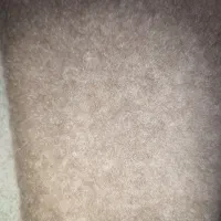 موکت در حد نو