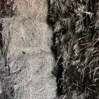 پرس یونجه فروشی