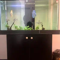 آکواریوم با ماهی و کلیه وسایل