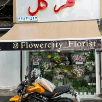 درگاه سایبان ورود تعمیرات در مغازه دچار بازویی