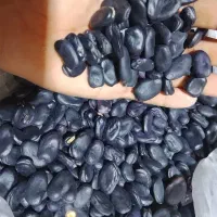 باقلا خشک فروشی...|خوردنی و آشامیدنی|ایرانشهر, |دیوار