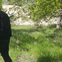 سمپاشی و آبرسانی باغات و حیاط سیار