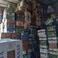 خرید و فروش کارتون موز  و ضایعات