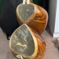 تار|سازهای سنتی|محمدشهر, همایون ویلا|دیوار