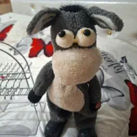 هزار پا و الاغ