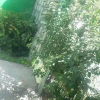 منزل دربست ماشین رو ویلایی رهن ۲۰۰کرایه 8م