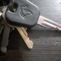 دسته کلید گم کردم