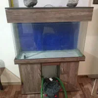 ۱عدد اکواریوم وتعدادی لوازم پلنت