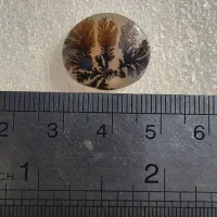 سنگ شجر قائن طبیعی اصل|جواهرات|اصفهان, خانه اصفهان|دیوار