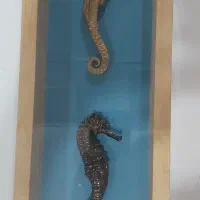 مجسمه دریایی