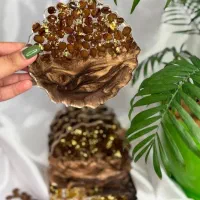 آموزش حرفهای رزین با گواهی رسمی|خدمات آموزشی|فردیس, فردیس|دیوار