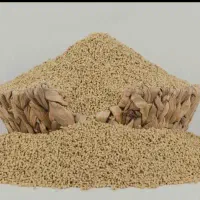 دان مرغ شرکت دانی نو