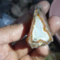 انواع نمونههای زیبا و باکیفیت|جواهرات|فردوس (خراسان), |دیوار