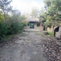 کلنگی-520متری-سند-تک-برگ-جیرکویه