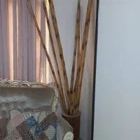 بامبو طبیعی و گلدان بامبو|گل و گیاه طبیعی|کرج, ساسانی (قلمستان)|دیوار