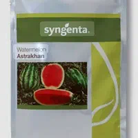 انواع بذر|خدمات باغبانی و درختکاری|شاهین‌شهر, شیخ بهایی|دیوار