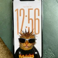 iphone 11 pro|موبایل|اصفهان, شاهزاده ابراهیم|دیوار