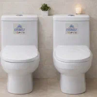 فرنگی اورست خروجی ۱۱۰