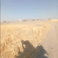 1000-متر-زمین-باغچه-ای