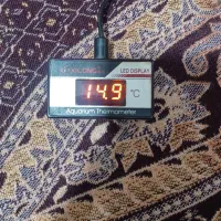 کپسولco2 با مانومتر برقی|ماهی|اردبیل, |دیوار