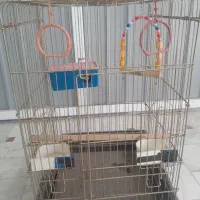 قفس پرنده قیمت ۸۵۰