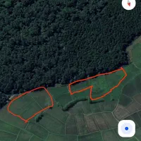 زمین مزروعی فروش فروی|فروش زمین و ملک کلنگی|اسالم, |دیوار