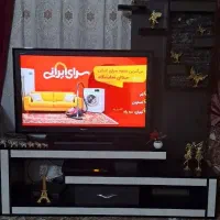 تلوزیون