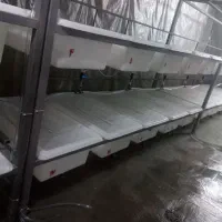 زالو/ طبی /ارایشی /درمانی|آرایشی، بهداشتی، درمانی|برخوار, |دیوار