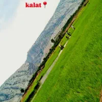 برنج چمپای کلات