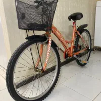 دوچرخه سایز۲۴